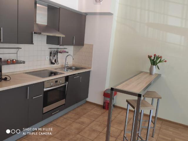 Luxapartament 3 - Z Duzym Tarasem I Garazem W Zeta Park Ustroń Εξωτερικό φωτογραφία