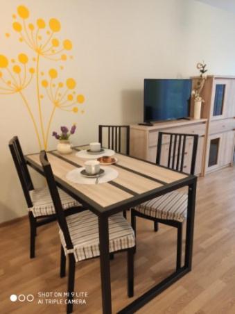Luxapartament 3 - Z Duzym Tarasem I Garazem W Zeta Park Ustroń Εξωτερικό φωτογραφία